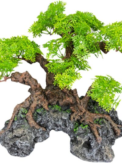 Komodo Bonsai Tree w/ Hide 1ea/18 in