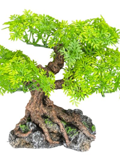 Komodo Bonsai Tree 1ea/17 in