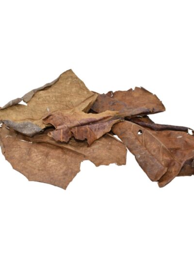 Komodo Dried Oak Leaves 1ea/.98 oz