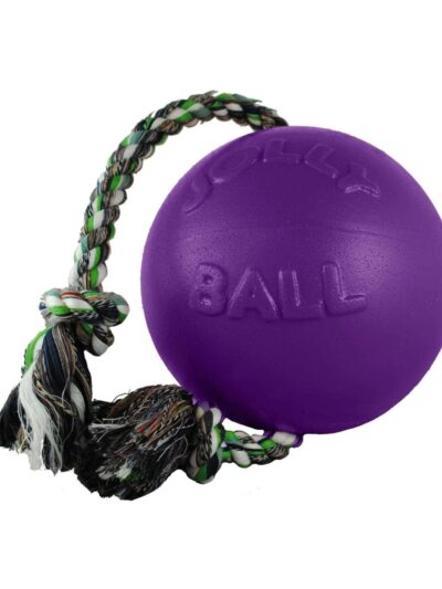 Jolly Pets Romp-N-Roll Ball Purple Medium