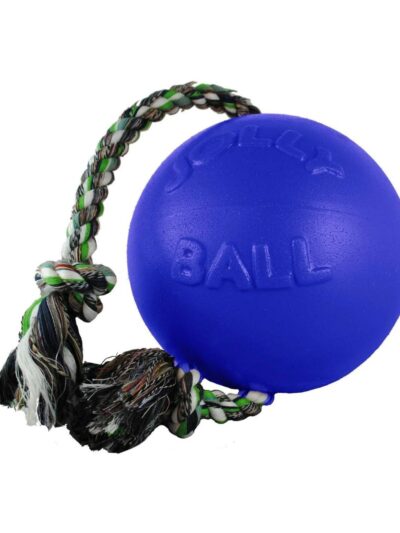 Jolly Pets Romp-N-Roll Ball Blue Large