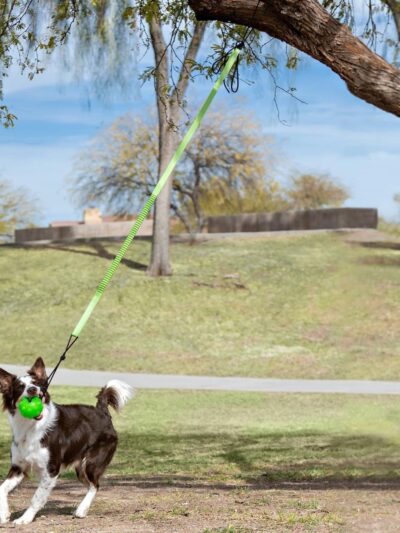 Jolly Pets Tree Tugger Bungee Green Large