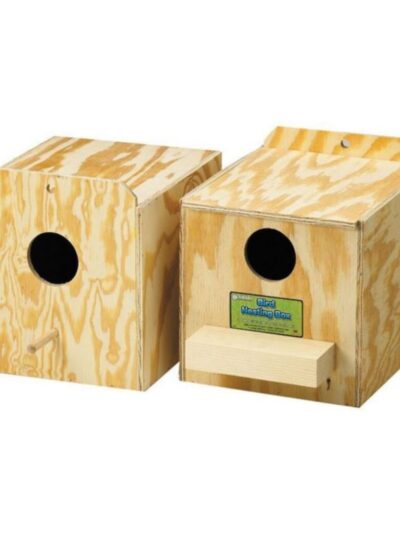 Parakeet Nest Box Reg