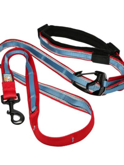 Kurgo Dog Quantum Reflective Leash Red