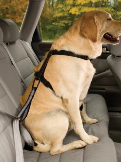 Kurgo Dog Seat Belt Tether Carabinar