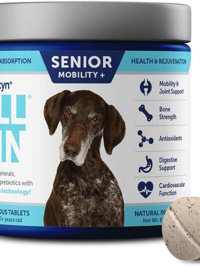 Vetericyn ALL-IN Senior Supplement 1ea/90 Tablets, 7.3 oz