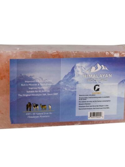 Gatsby 100% Natural Himalayan Rock Salt Block 4lbs.