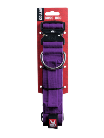 Boss Dog Tactical Adjustable Dog Collar Purple, 1ea/Small, 13-16 in
