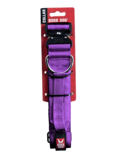 Boss Dog Tactical Adjustable Dog Collar Purple, 1ea/XLarge, 20-28 in