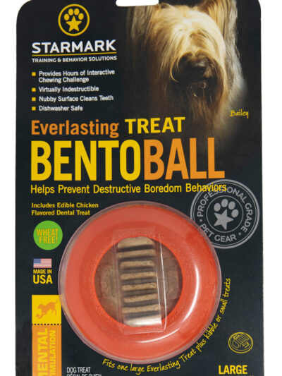 Starmark Everlasting Treat Bento Ball Dog Chew Toy 1ea/LG