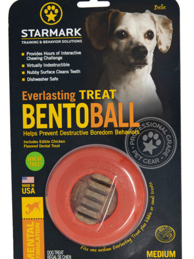 Starmark Everlasting Treat Bento Ball Dog Chew Toy 1ea/MD
