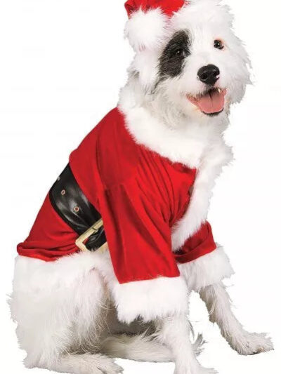 Rubies Santa Claus Large