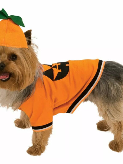 Rubies Pumpkin Pet Costume Small