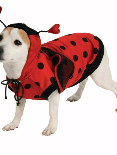 Rubies Ladybug Pet Costume Medium