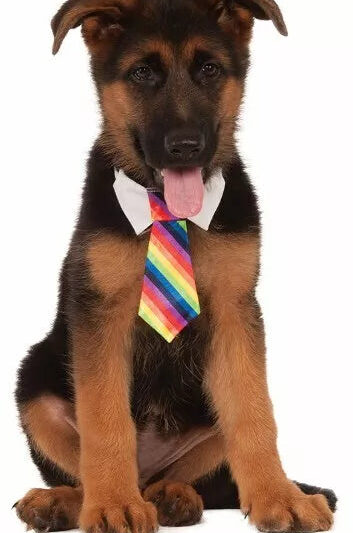 Rubie's Pet Rainbow Dog Tie L/XL