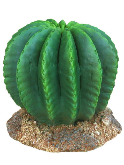 Weco Products Wecorama Badlands Golden Barrel Cactus Terrarium Ornament Brown, Green, 1ea/3 in